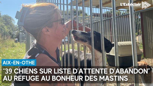 39 chiens sont sur liste d’attente d’abandon au refuge Au Bonheur des mastins à Aix-en-Othe