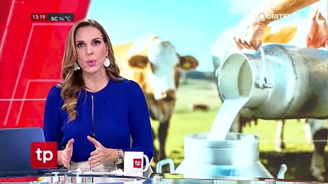 Alertan que 89 lecherías cerraron en Santa Cruz porque no pueden asumir los costos de la producción 