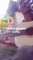 melodi guitar