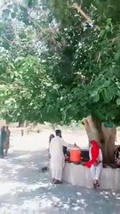 Derbar pir khara Shareef