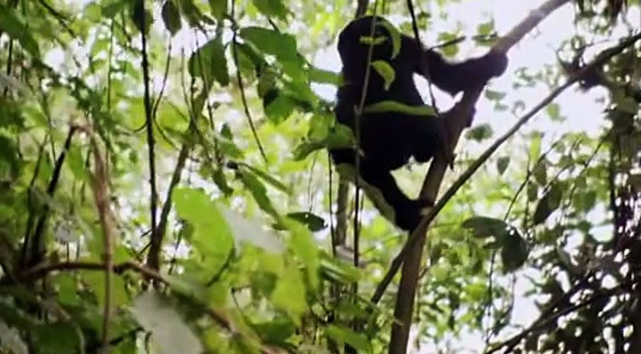 BBC Africa E06 The Future