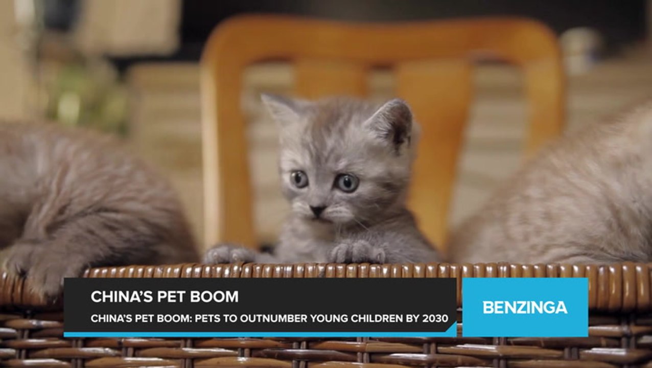 China's Pet Boom: Young Adults in China Choose Dogs and Cats as Pets to Outnumber Young Children by 2030