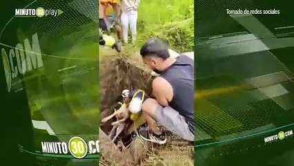El perrito 'Zeus' esta delicado de salud tras quedar atrapado casi tres días en un pozo de Rionegro