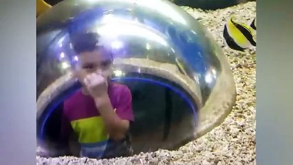 Funny Kids at the Aquarium _ Girl SPOOKED By A Beluga Whale!