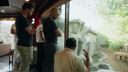 「Paro」Andrew Tate Edit Status_ 4K