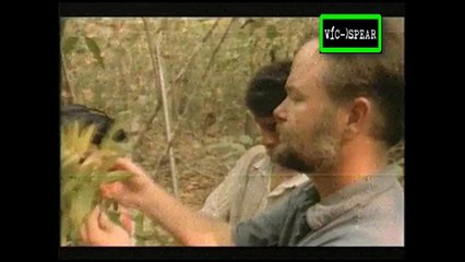 Horizontes Científicos: La Naturaleza y sus Números - Documental (1996) - Español Latino