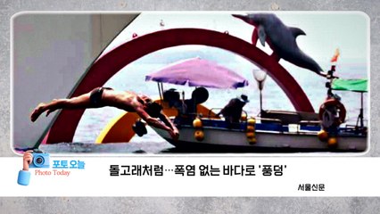[포토오늘] 돌고래처럼...폭염 없는 바다로 '풍덩'  / YTN