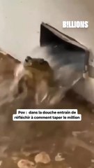 Découvrez le début de tout : l'origine de l'histoire !