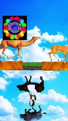 Eid_Mubarak_#islamic_#VFX_#pbuh_#trending___#anbiashorts_#shorts_#viral_#viralvideo