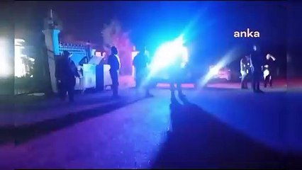 Niğde'den sonra Ankara... Katledilmiş halde onlarca köpek bulundu!