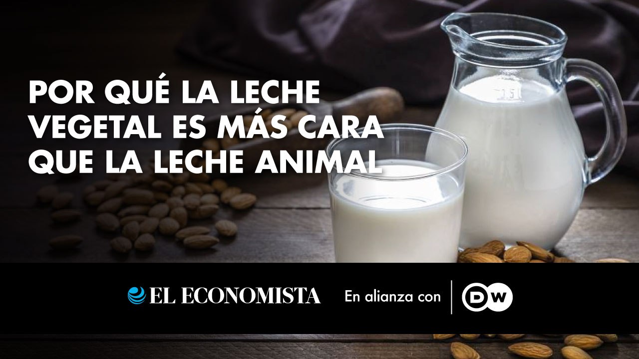 Por qué la leche vegetal es más cara que la leche animal