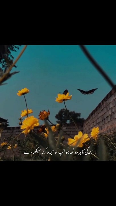 Zindagi..._._._