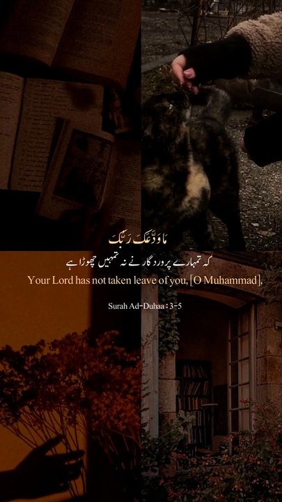 ⊙Surah Ad Duhaa✨(