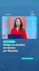 Peligra la siembra de verano por iliquidez