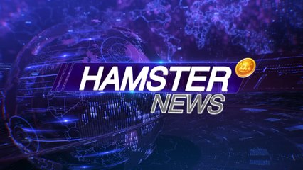 Wall Street’s faith in BTC, IMF vs El Salvador’s ‘Crypto Experiment’, Crimes With AI ⚡️ Hamster News