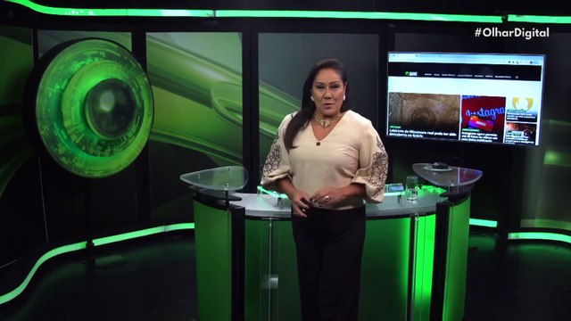 Chuva de meteoros Perseidas ISS e satélites estão em risco?