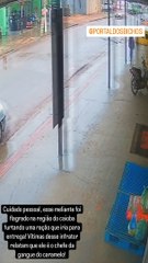 Gangue do caramelo ataca novamente... câmera registra cachorro furtando pacote de ração