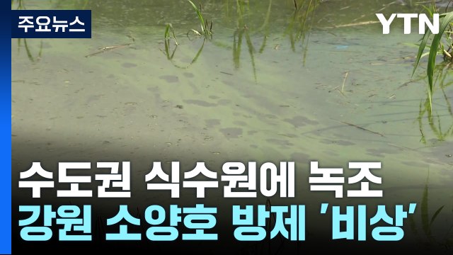 유해물질에 폭염까지...'식수원' 소양호 녹조 비상 / YTN