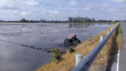 tractor machine - 稲作のための整地技術 - kỹ thuật làm đất trồng lúa