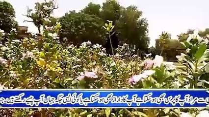 Islamic videos ,Surah kosar ka wzefa,#quraniwzaife,#wzaife#surahkosar,