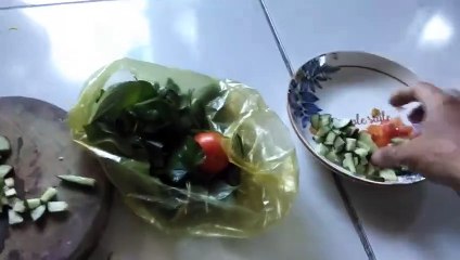 rice noodles with vegetables and grilled meat - 春雨と野菜とグリル肉添え - bún khô chan nước mắm