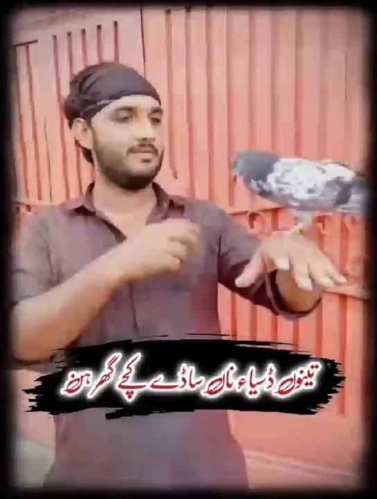 tik tok viral vedio