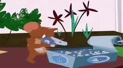 Tom and Jerry  Tom and Jerry New Episodes  Tom and Jerry Cartoon (0)