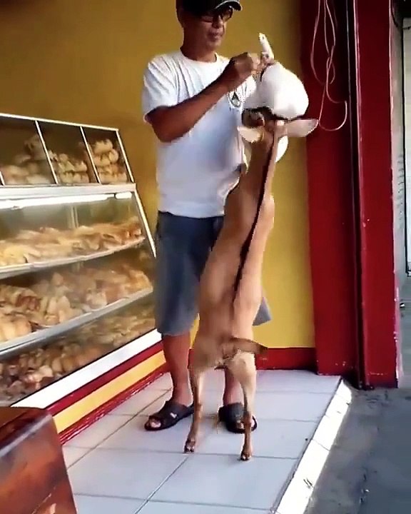 Pastry Lovers
