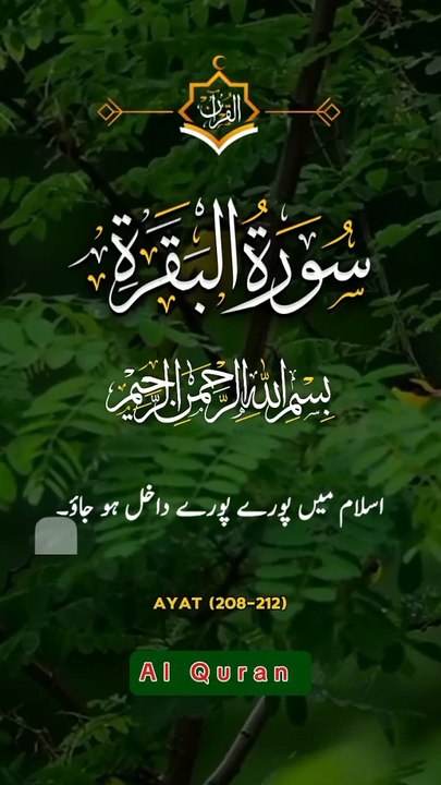 Surah Al Baqarah verses 208-212 Urdu translat Short video _short _shortvideo _youtubeshort _shorts(720P_HD)