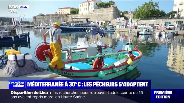 Canicule: en Mediterranée, les pêcheurs doivent s'adapter aux températures élevées