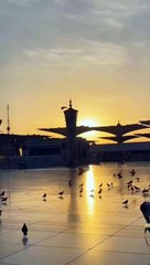 Best video viral video viral video viral short term