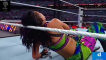 WWE P32 lovely ladies fighting summerslam.full hd #