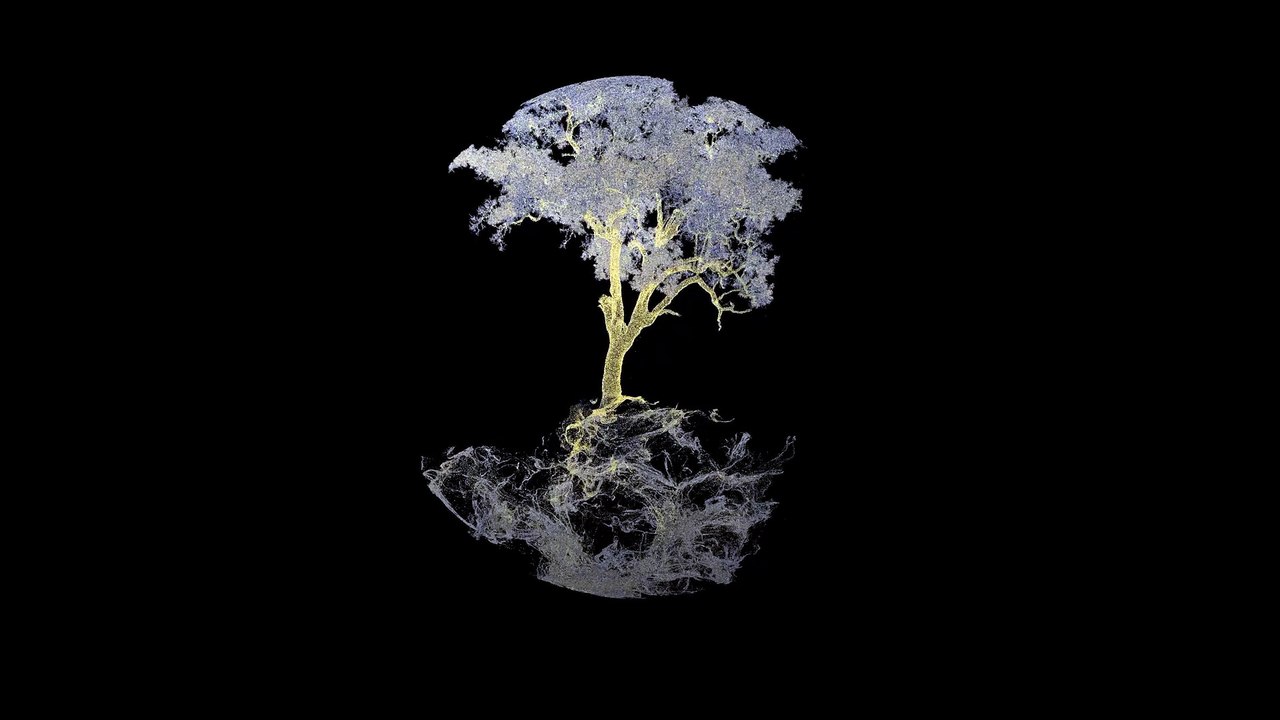 A sneak peek at Ghost Trees by James McGrath and Gary Sinclair