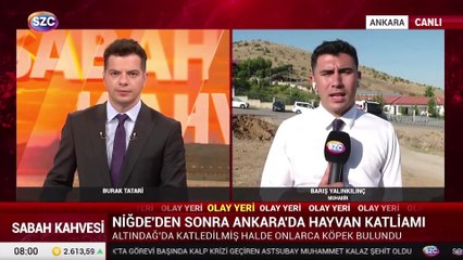 Altındağ'da katledilmiş halde onlarca köpek bulundu! SÖZCÜ TV olay yerinde