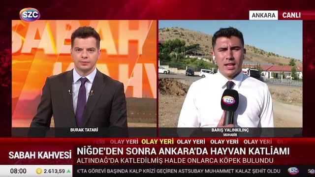 Altındağ'da katledilmiş halde onlarca köpek bulundu! SÖZCÜ TV olay yerinde