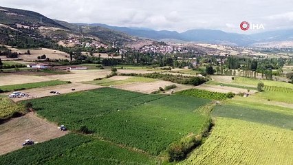 Yenilebilir sarı altının fiyatı gerçek altınla yarışıyor: Kilosu 1000 TL