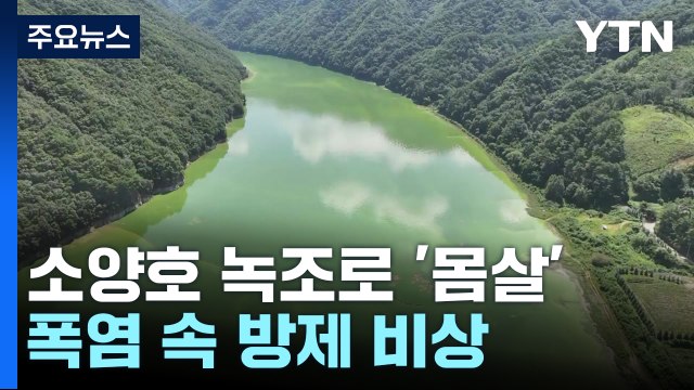 식수원 소양호 녹조 확산...폭염 속 방제 비상 / YTN