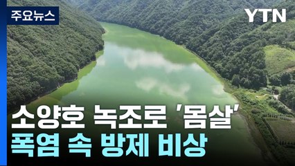 식수원 소양호 녹조 확산...폭염 속 방제 비상 / YTN