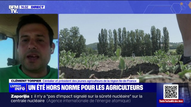 Il ne faudrait pas que cette chaleur perdure trop : les agriculteurs d'Île-de-France face à la canicule