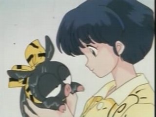 Le petit cochon d'Adeline