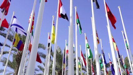 El paro juvenil a nivel mundial marca mínimos de 15 años, según la OIT