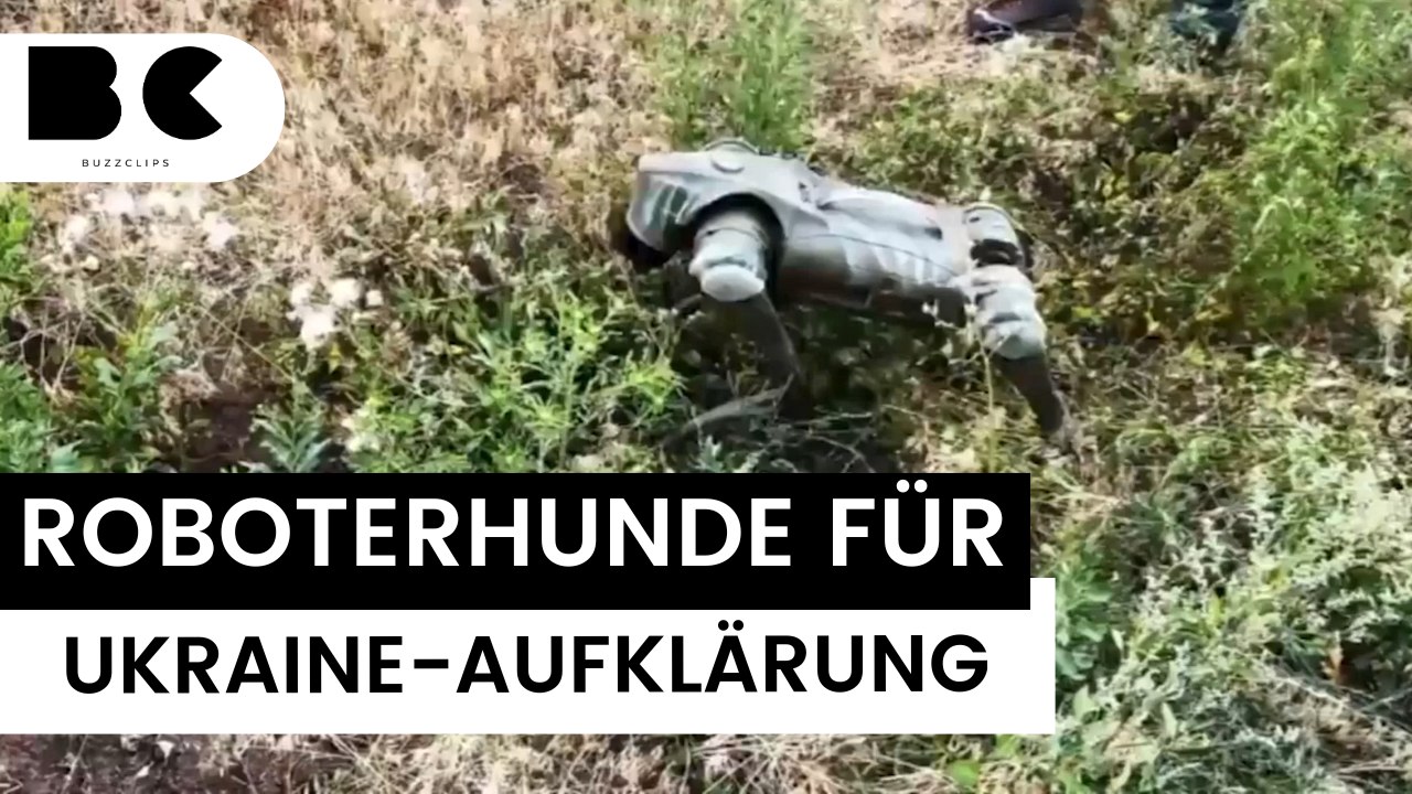 Roboterhunde: Ukrainische Armee setzt bei Aufklärung auf High-Tech