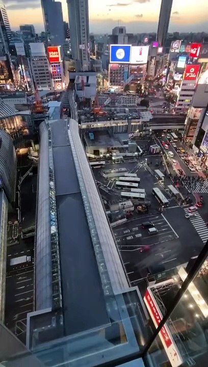 Japan Tokyo Shibuya  #shorts #japan #tokyo