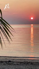 Personal Growth at Rise & Inspire 🌱