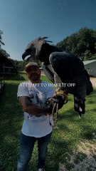 Just keep ascending....