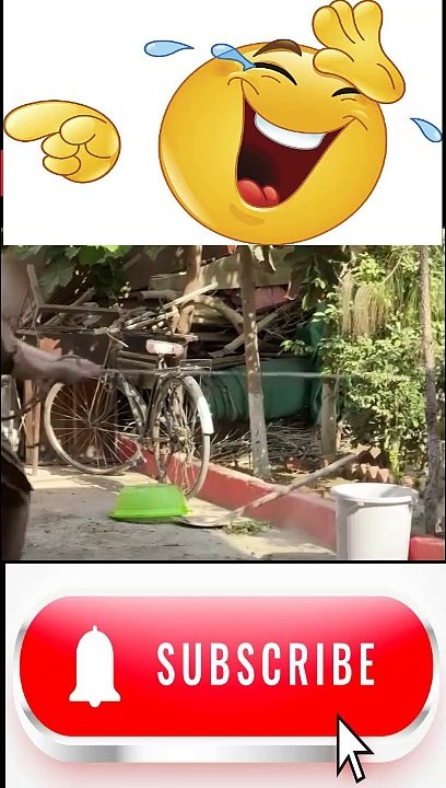 funny buffalo out of control Qurbani 2