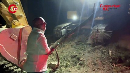 Ümraniye'de gece yarısı ağaç katliamı