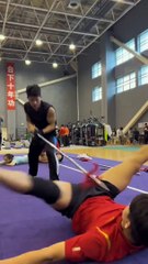 Wushu Savunma Sanatını Yapan Adamı İzleyenler Gözlerine İnanamadı