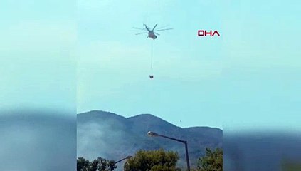 Tatil cennetinde orman yangını