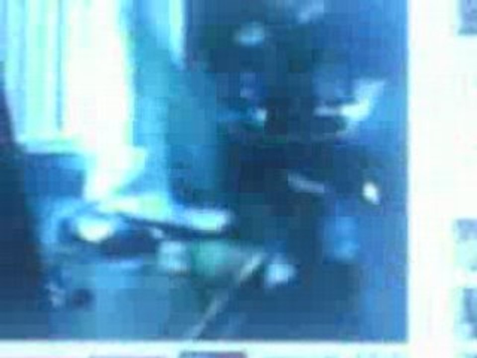 Bild 036
